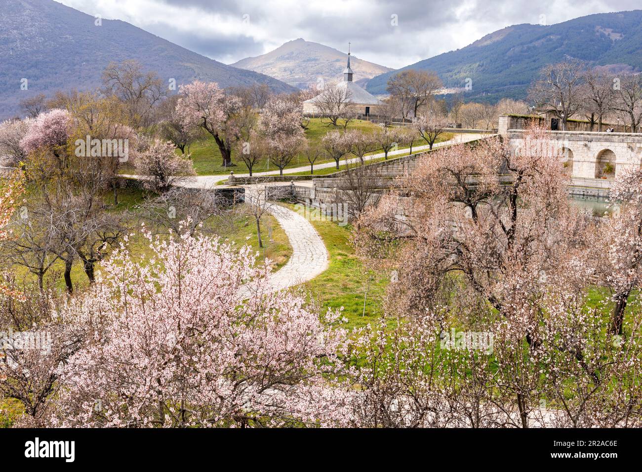 Spanien, San Lorenzo de El Escorial, El Escorial, Kloster und Örtlichkeit, Madrid. Frühlingsblüten auf dem Gelände einer spanischen königlichen Stätte Stockfoto