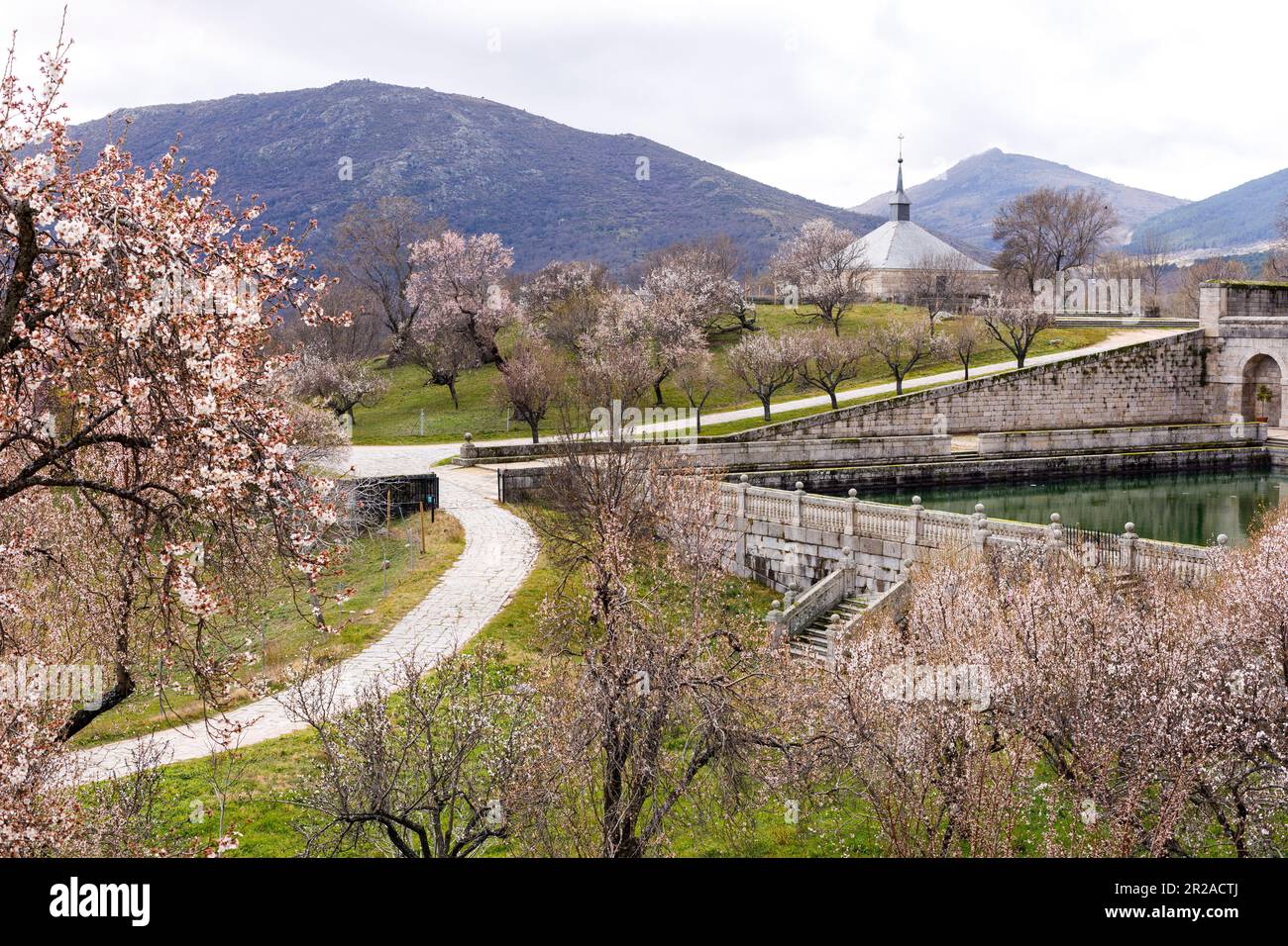 Spanien, San Lorenzo de El Escorial, El Escorial, Kloster und Örtlichkeit, Madrid. Frühlingsblüten auf dem Gelände einer spanischen königlichen Stätte Stockfoto