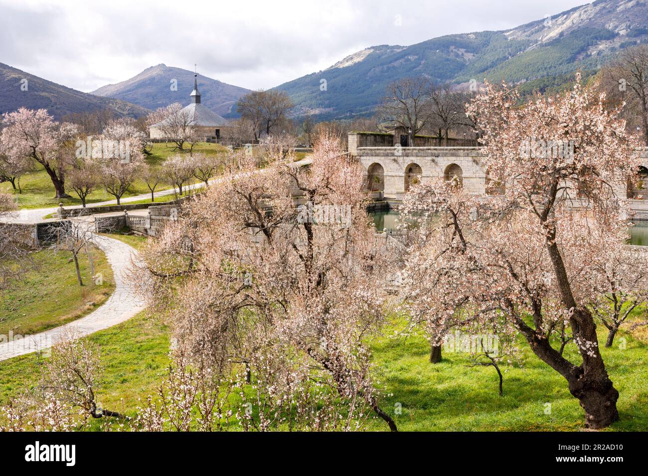 Spanien, San Lorenzo de El Escorial, El Escorial, Kloster und Örtlichkeit, Madrid. Frühlingsblüten auf dem Gelände einer spanischen königlichen Stätte Stockfoto