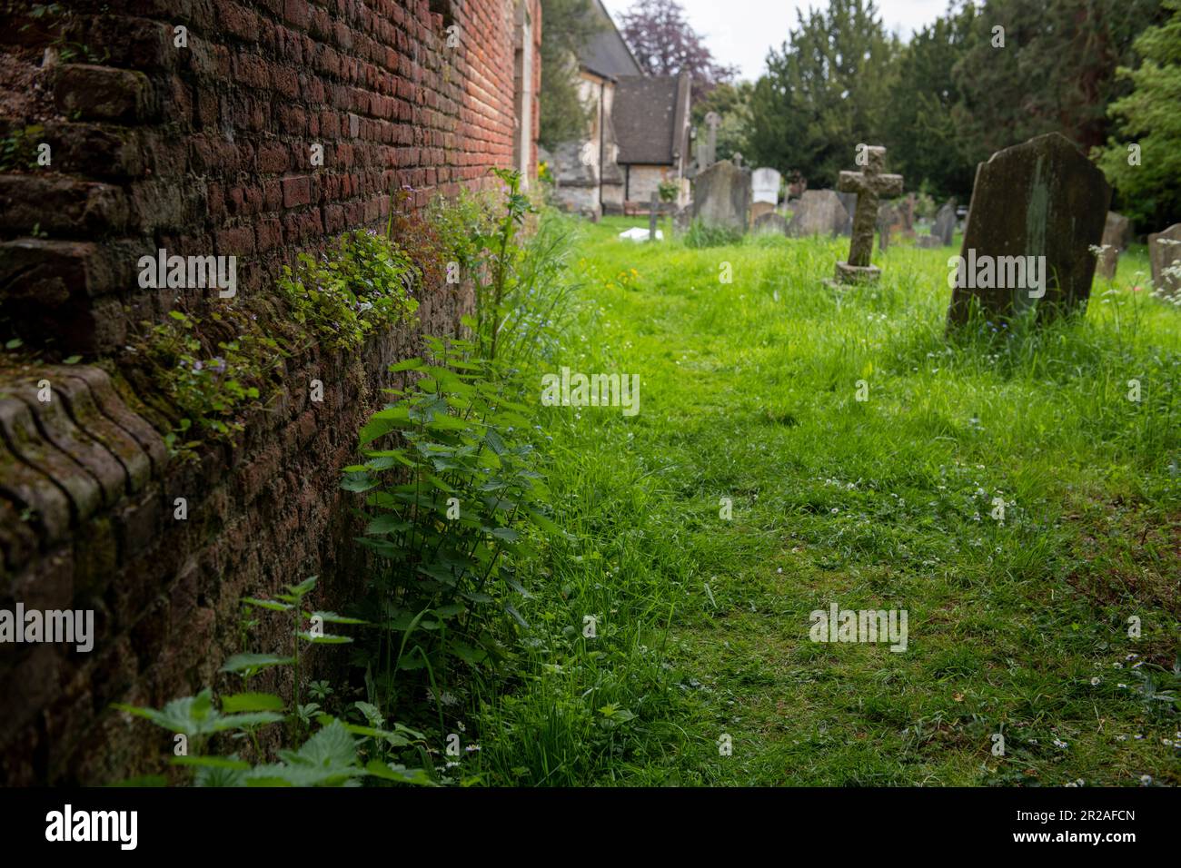 Harrow council nimmt im Mai 2023 an NO MOW MAY, einer Plantlife-Initiative, Teil. Hier ist ein Friedhof in Stanmore, der nicht gemäht wurde. Stockfoto