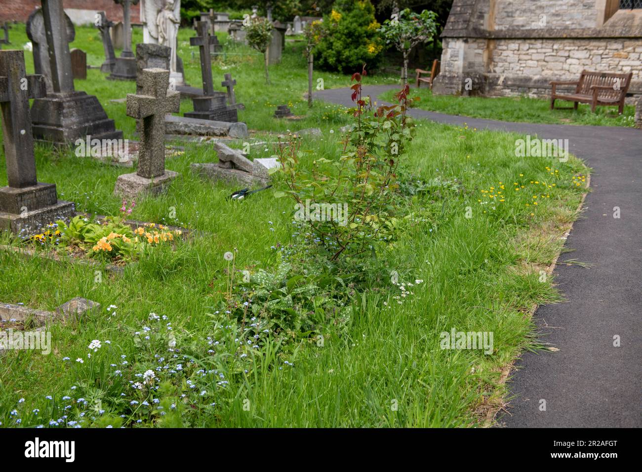 Harrow council nimmt im Mai 2023 an NO MOW MAY, einer Plantlife-Initiative, Teil. Hier ist ein Friedhof in Stanmore, der nicht gemäht wurde. Stockfoto