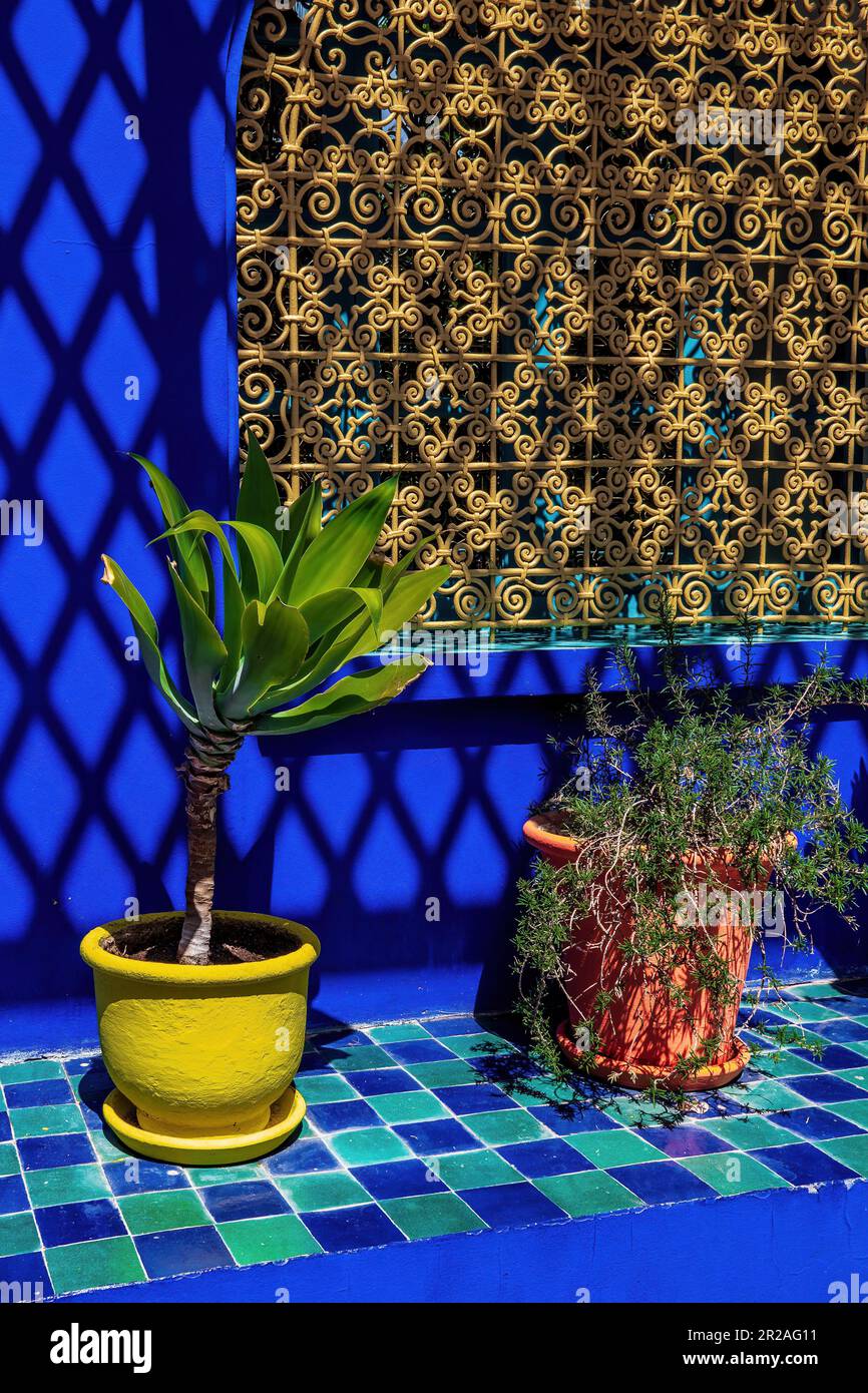 Majorelle Garden ist ein botanischer Garten in Marrakesch, Marokko. Stockfoto
