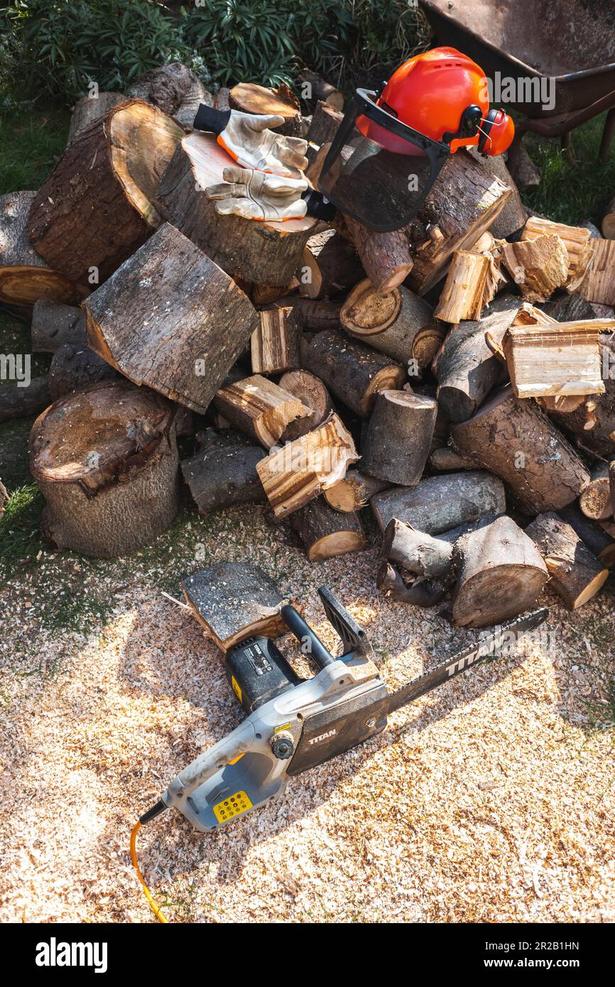 Gehackte Baumstämme mit Kettensäge und salzigem Helm Stockfoto