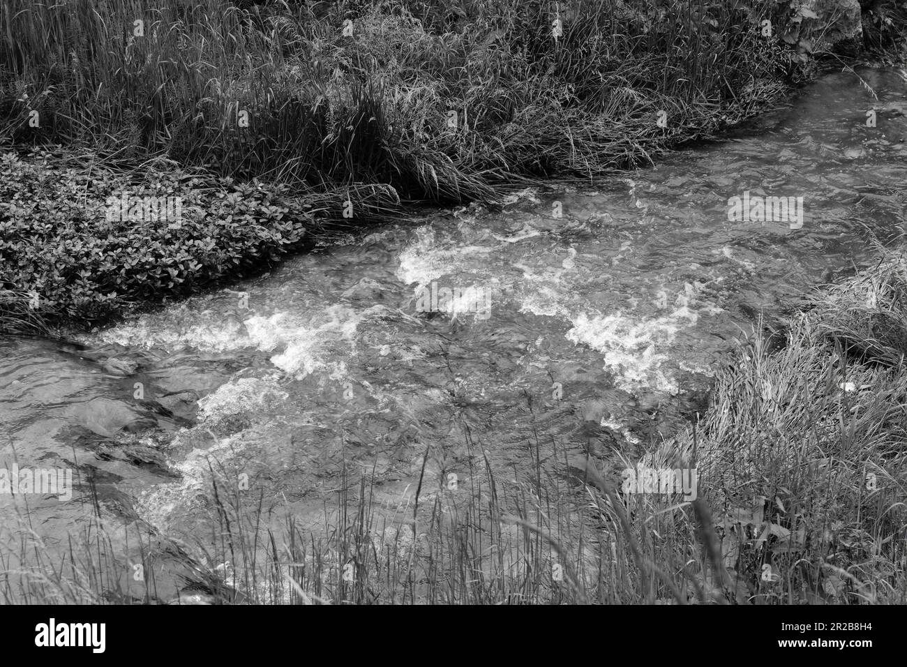 Ein Strömungsbett bezieht sich auf den Kanal, durch den ein Fluss fließt, der durch seine Form, Zusammensetzung und Strömungsdynamik gekennzeichnet ist. Stockfoto