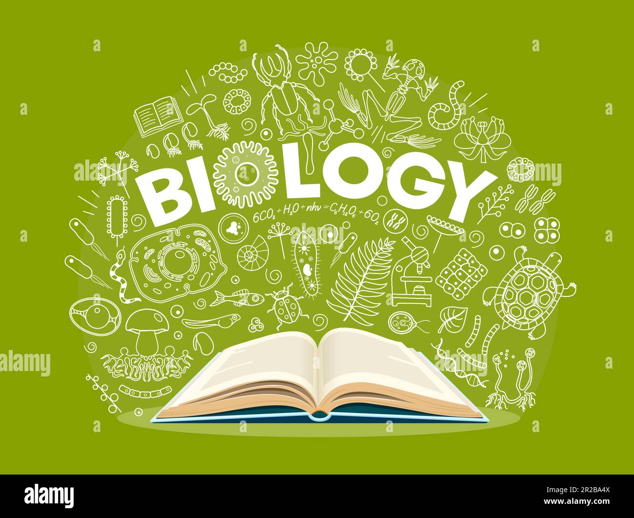 Biologie-Lehrbuch, Darstellung von Wissenschaftssymbolen auf der Schulbehörde. Vektor wissenschaftlicher Bildungshintergrund mit offenen Büchern und dünnen Linien von Pflanzen, Zellen unter dem Mikroskop, Tieren, Pilzen und Insekten Stock Vektor