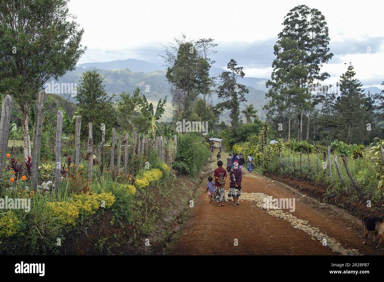 PNG Papua Neuguinea Eastern Highlands; Goroka; Papuaner gehen auf einer lokalen Feldstraße; Papua gehen auf einer lokalen unbefestigten Straße; Papuasi droga Stockfoto