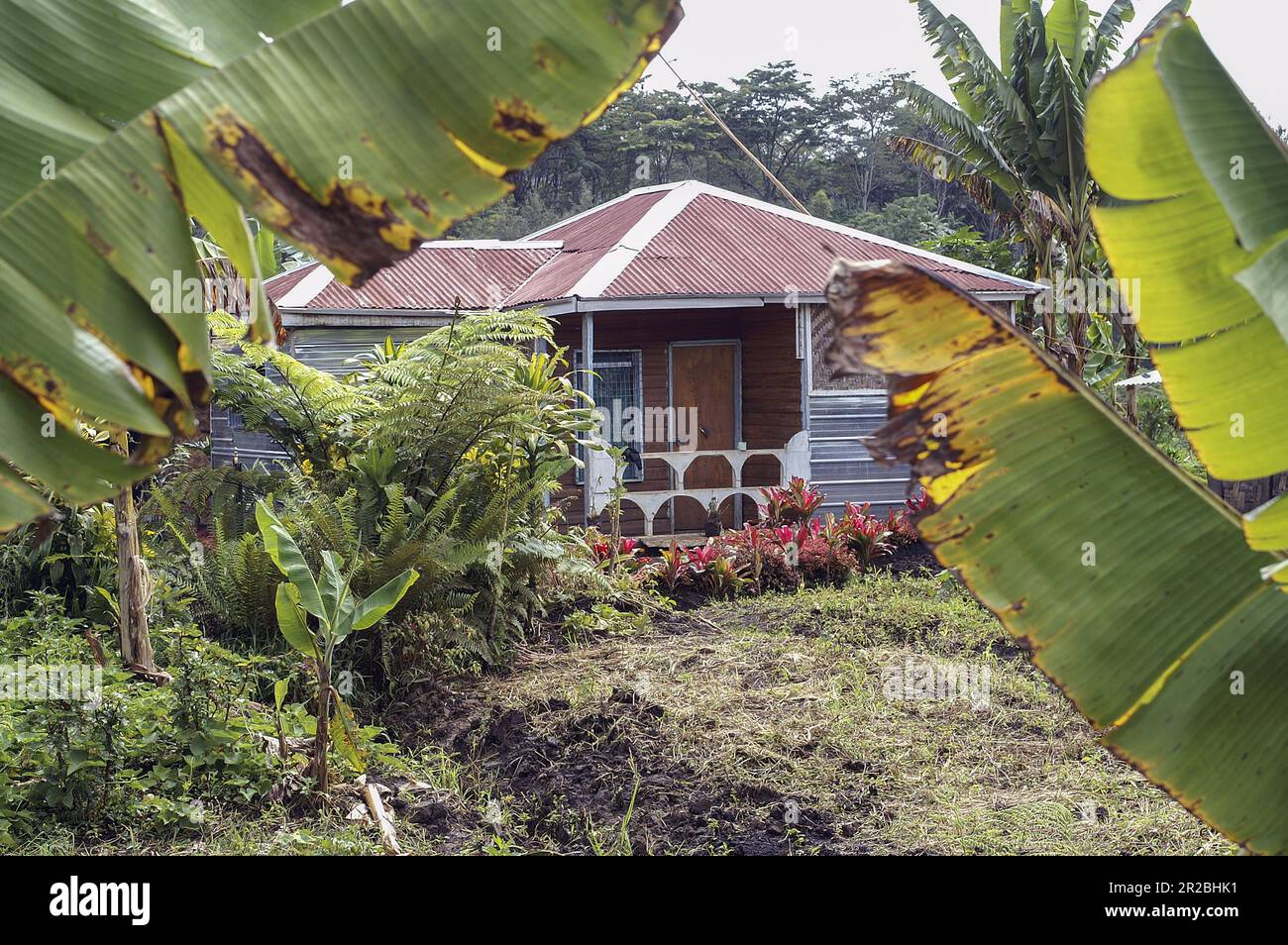 Papua-Neuguinea, östliche Highlands, Goroka, die aktuelle zeitgenössische moderne papuanische Hütte, nowa chata w buszu Stockfoto