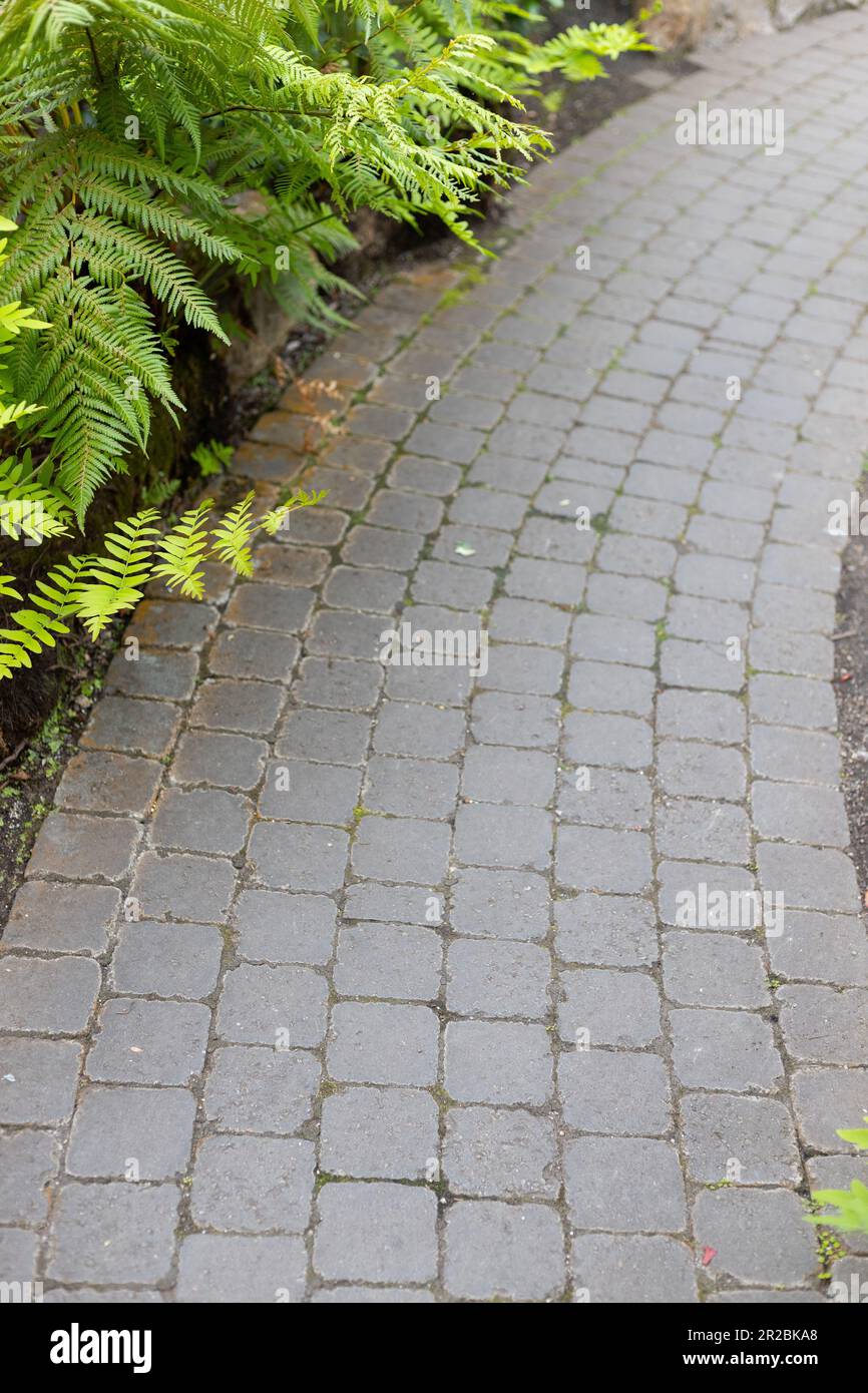 Ein geschwungener Steinweg durch einen Garten. Stockfoto