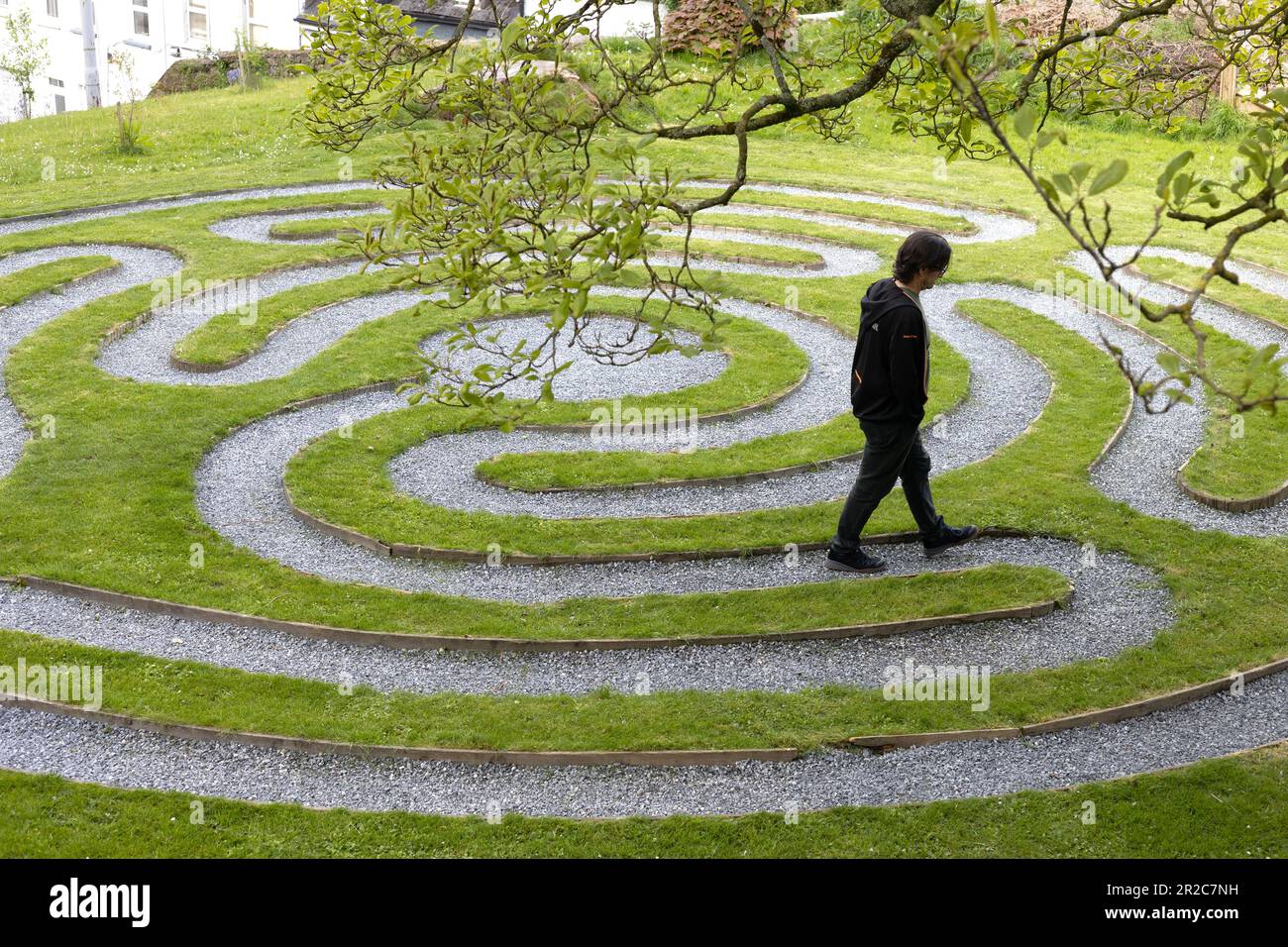 Ein Mann, der durch das Labyrinth in der Saint Fin Barre's Cathedral in der Stadt Cork, Irland, spaziert. Stockfoto