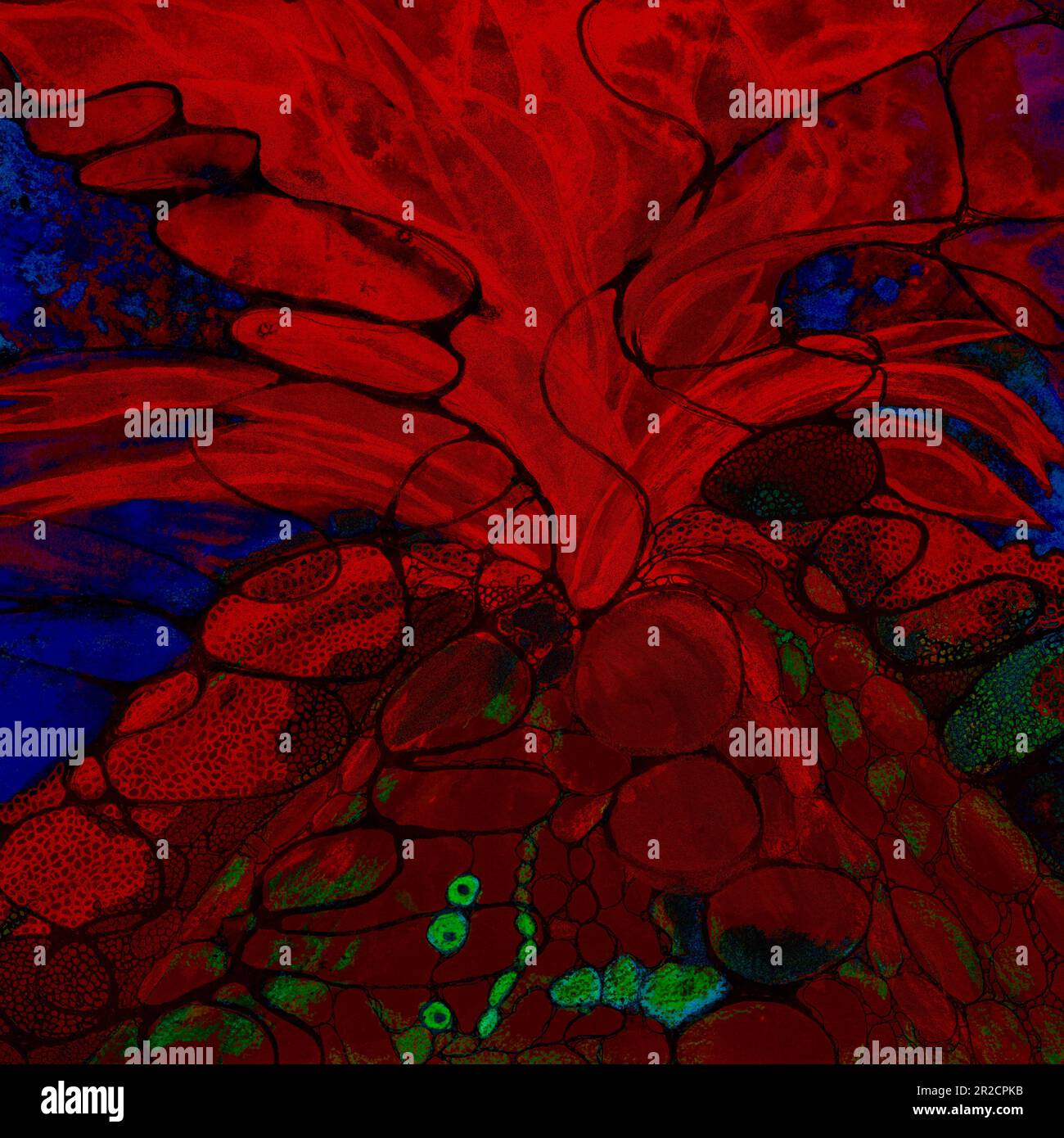 Psychedelischer roter Vulkan bricht aus. Das Abtasten in der Nähe der Kanten sorgt aufgrund der veränderten Oberflächenrauheit des Papiers für einen weichen Fokus. Stockfoto