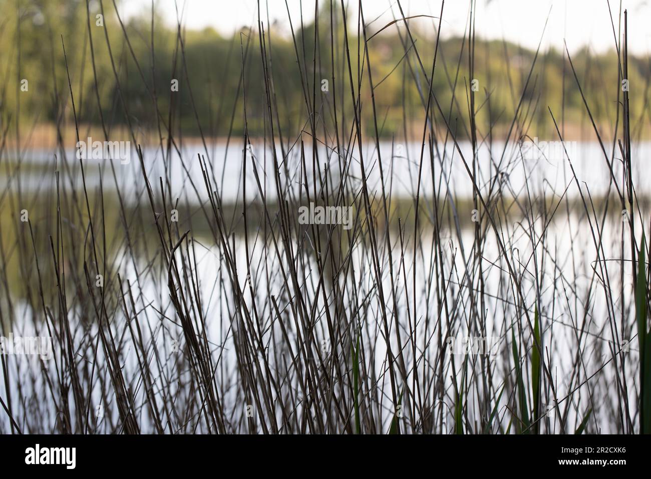 Jezioro Winiary - Gniezno, Polen - Wasserreflexionen, Wohnhaus aus Beton, in einem See reflektiert. Stockfoto