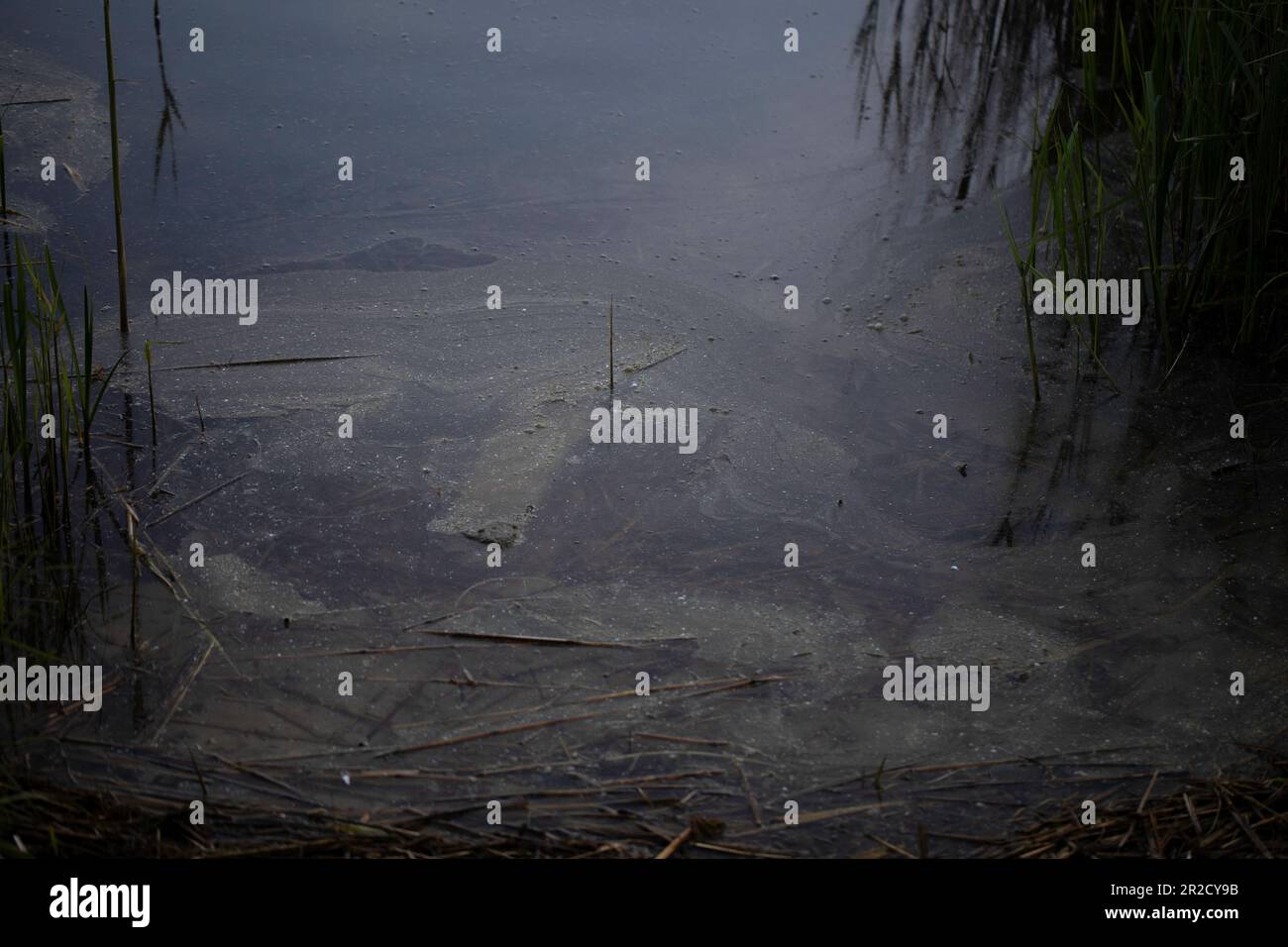 Jezioro Winiary - Gniezno, Polen - Wasserreflexionen, Wohnhaus aus Beton, in einem See reflektiert. Stockfoto