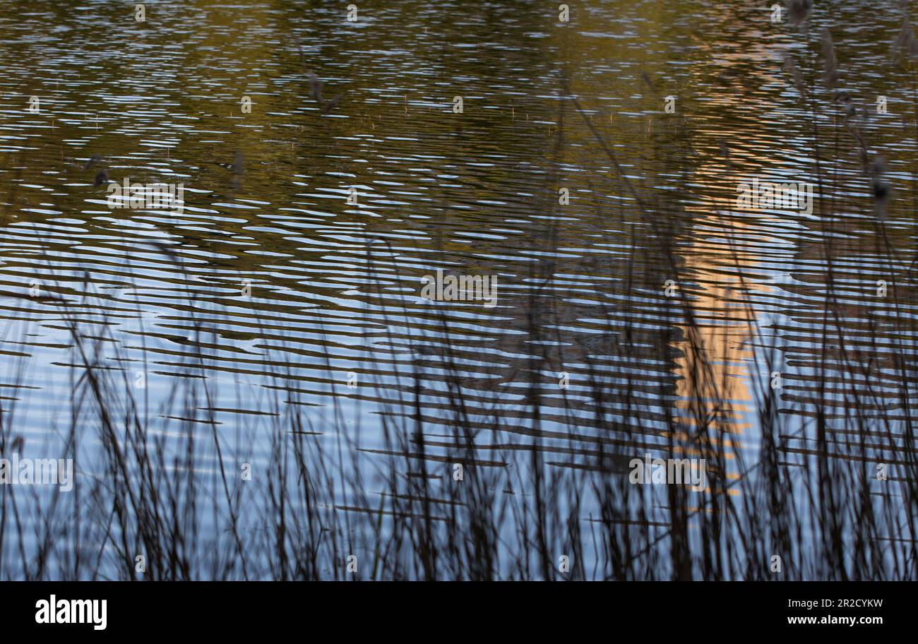 Jezioro Winiary - Gniezno, Polen - Wasserreflexionen, Wohnhaus aus Beton, in einem See reflektiert. Stockfoto