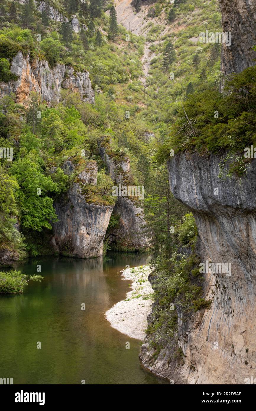 Landschaft mit wunderschöner Natur am Saint-Chély-du-Tarn und dem Fluss Tarn Stockfoto
