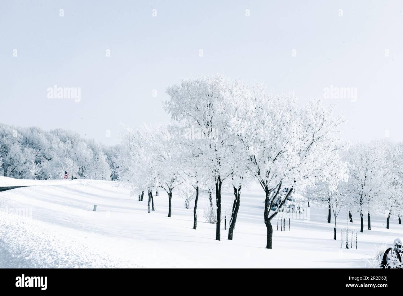 Wunderschöne Winterszene mit Schnee- und frostbedeckten Bäumen. Stockfoto