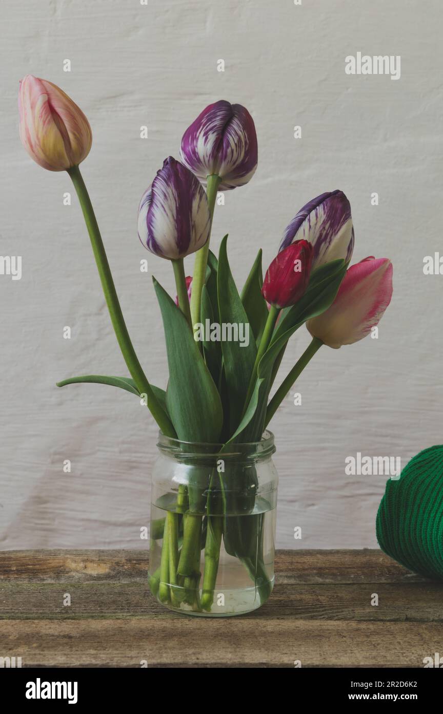 Ein Strauß bunter Tulpen und ein Pullover auf einem Holztisch. Stockfoto