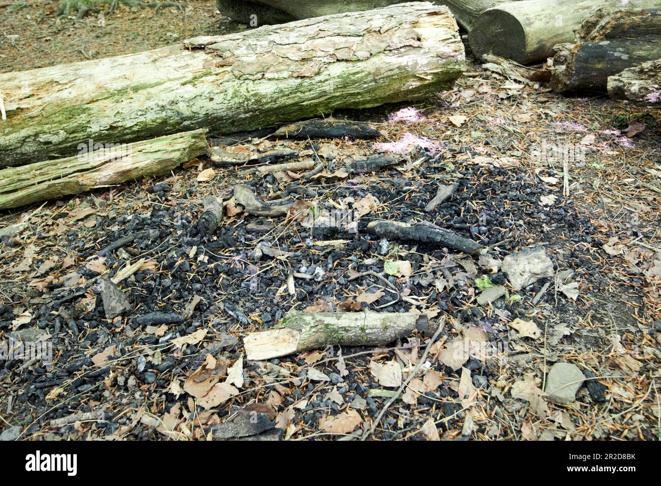 Überreste eines ausgebrannten Lagerfeuers im Beacon Country Park upholland skelmersdale lancashire england uk Stockfoto