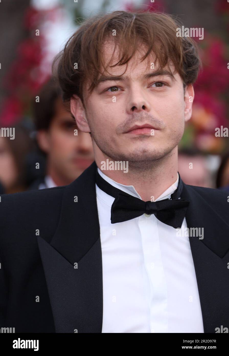 Charlie Heaton besucht den roten Teppich „Indiana Jones and the Dial of