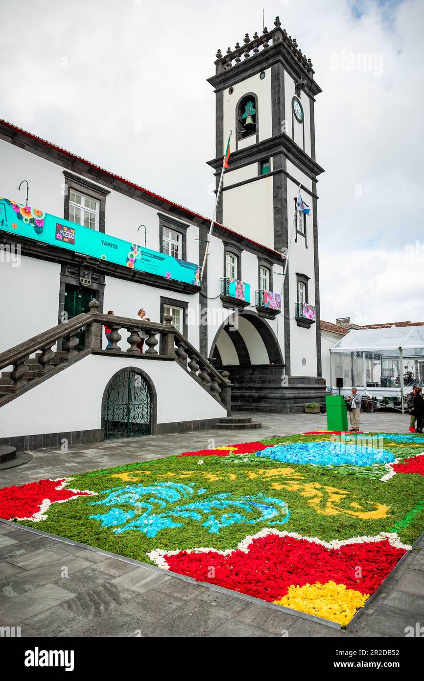 Blumenfestival in Ribeira Grande, Insel São Miguel auf den Azoren. Stockfoto