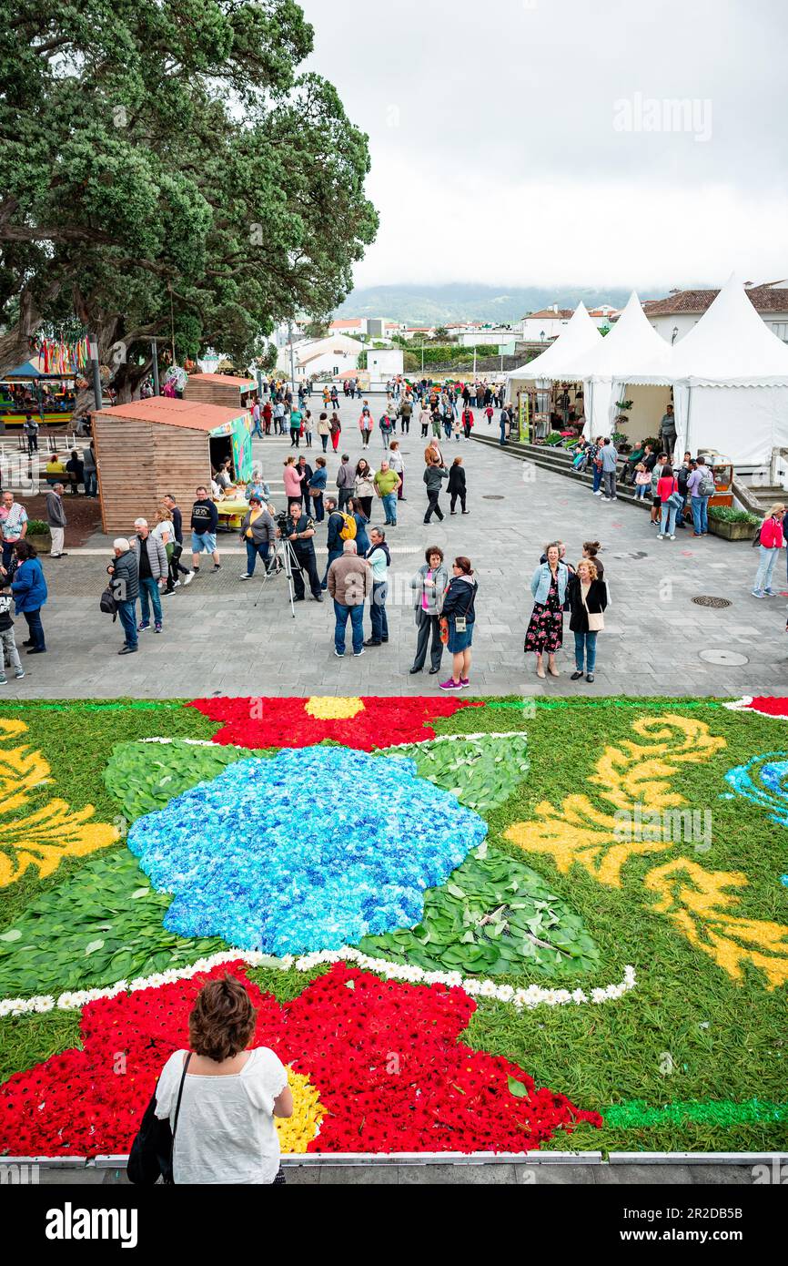 Blumenfestival in Ribeira Grande, Insel São Miguel auf den Azoren. Stockfoto