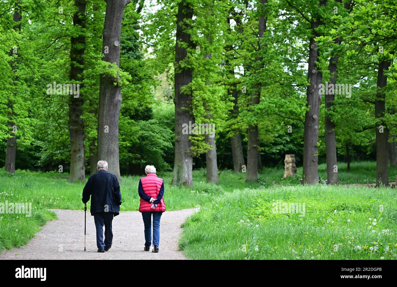 19. Mai 2023, Baden-Württemberg, Stuttgart: Eine Frau und ein Mann laufen im Eichenhain in Stuttgart. Foto: Bernd Weißbrod/dpa Stockfoto