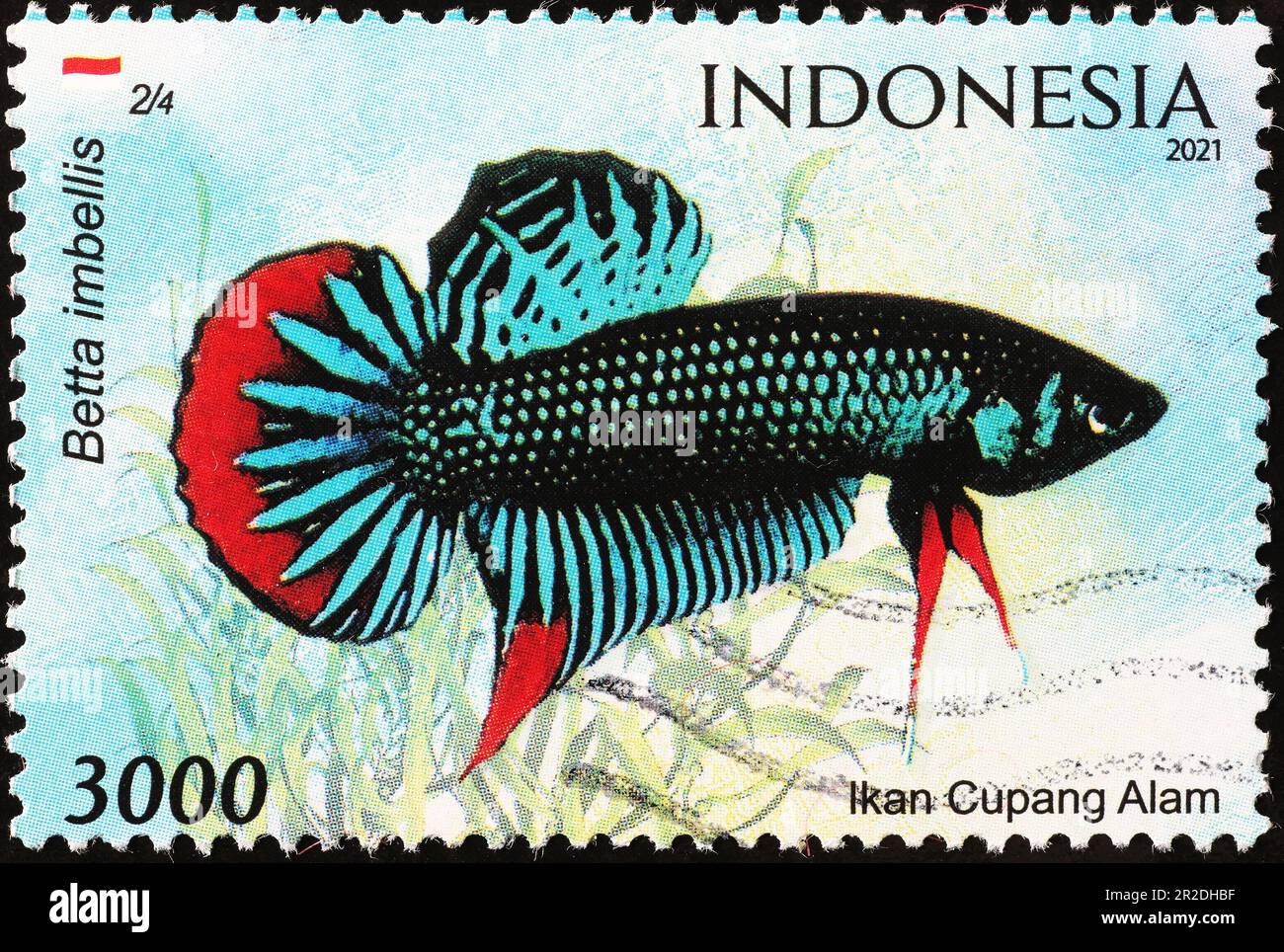 Farbenfrohe tropische Fische auf indonesischem Stempel Stockfoto