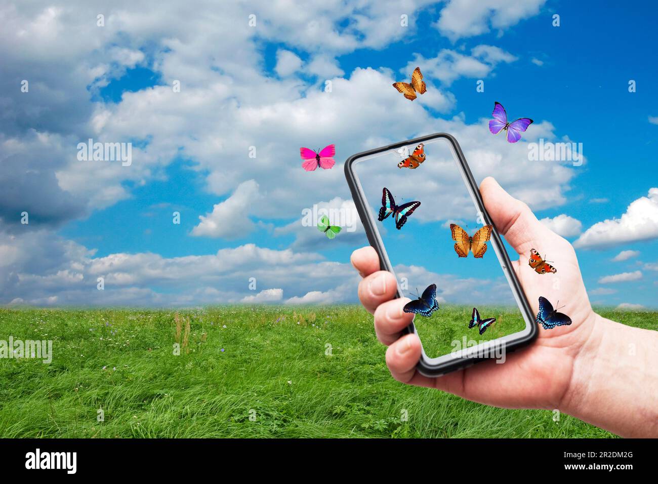 Die Hand hält ein Smartphone, mit Schmetterlingen, die es umherfliegen Stockfoto