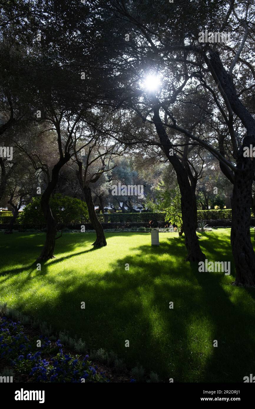 Bahai Gardens an den Hängen des Carmel Mountain in Haifa, Israel Stockfoto