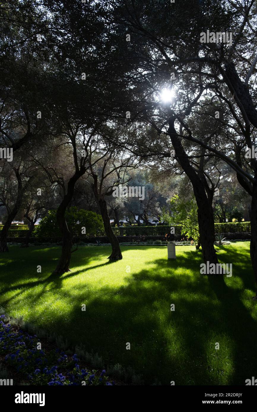 Bahai Gardens an den Hängen des Carmel Mountain in Haifa, Israel. Vertikales Bild Stockfoto