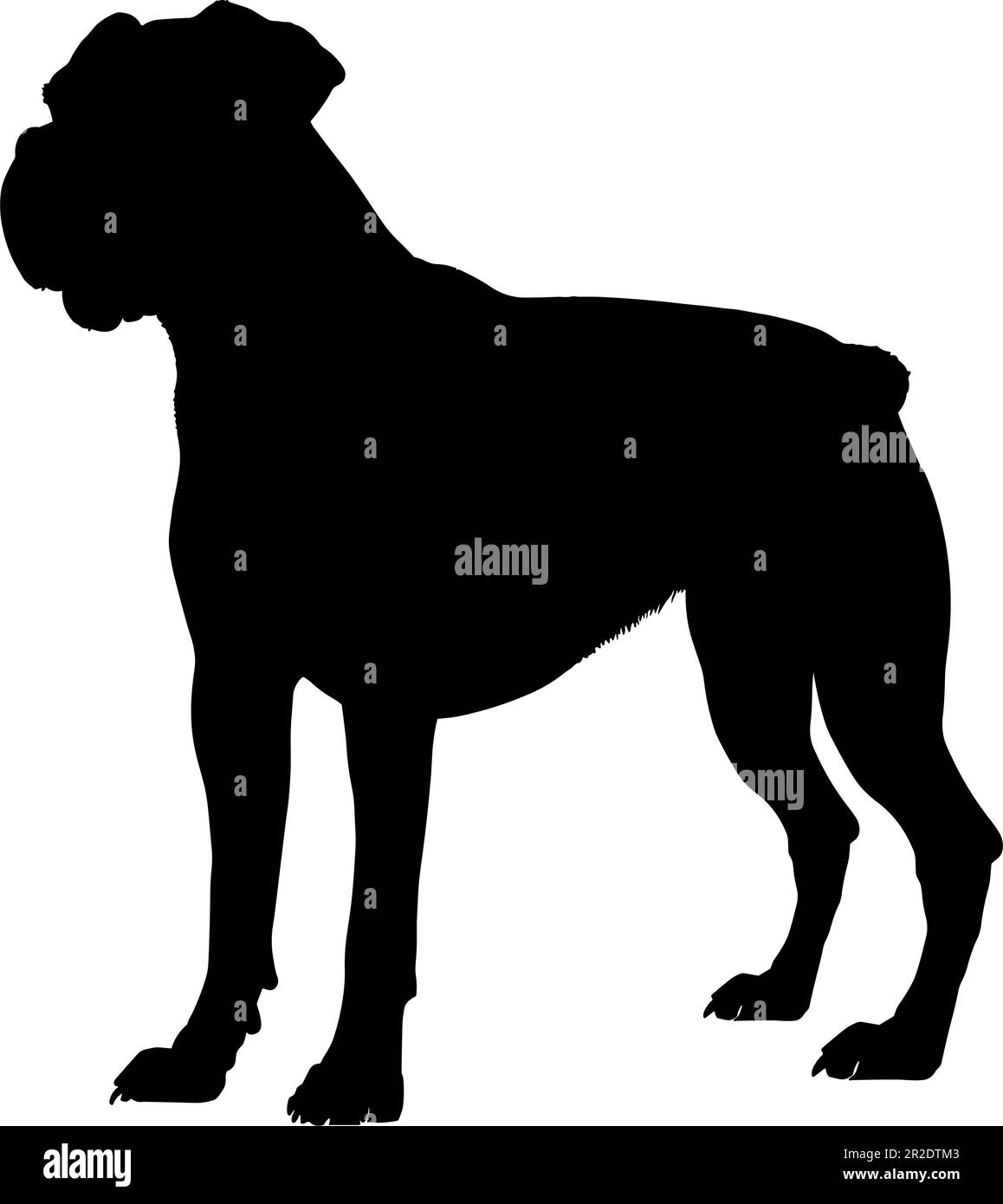 Die Silhouette des Boxerhundes auf weißem Hintergrund isoliert. Vektordarstellung Stock Vektor