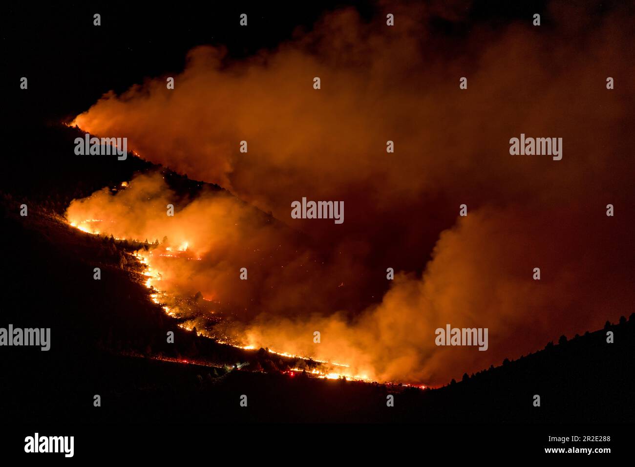 Waldbrand bei Nacht. Oregon, Klamath Falls Stockfoto