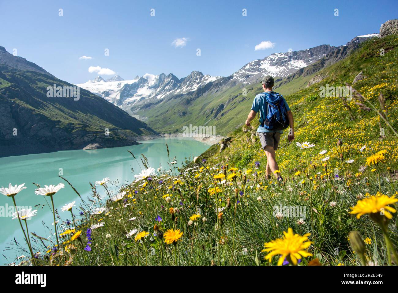 Walker und sommerliche Alpenblumen am Ufer des Moiry Reservoirs mit Bergen im Hintergrund, Grimentz, Schweiz. Stockfoto