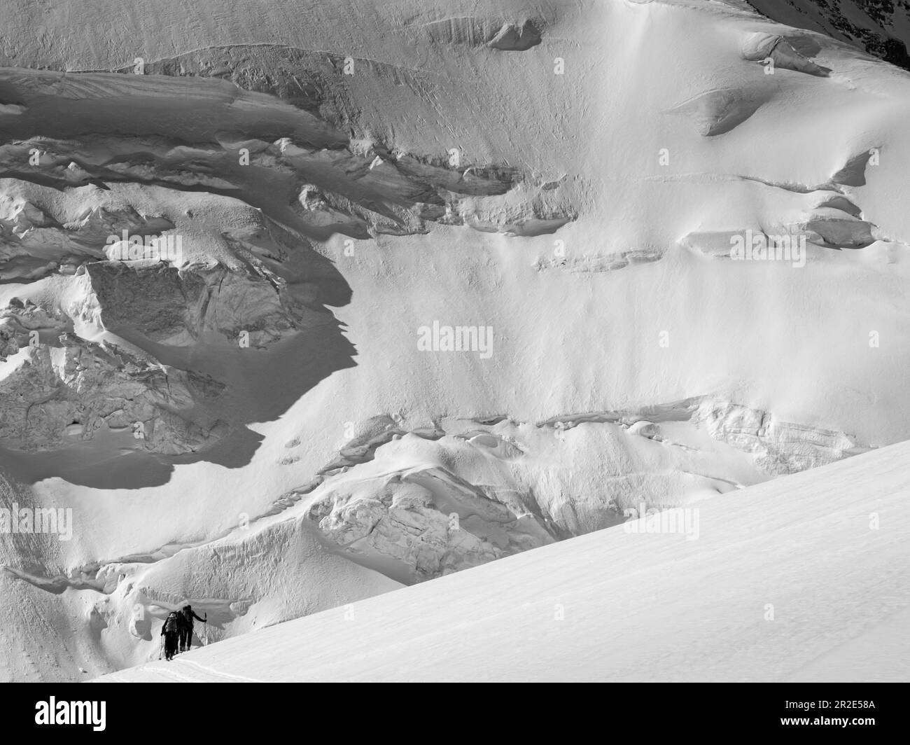 OLYMPUS DIGITALKAMERA Stockfoto