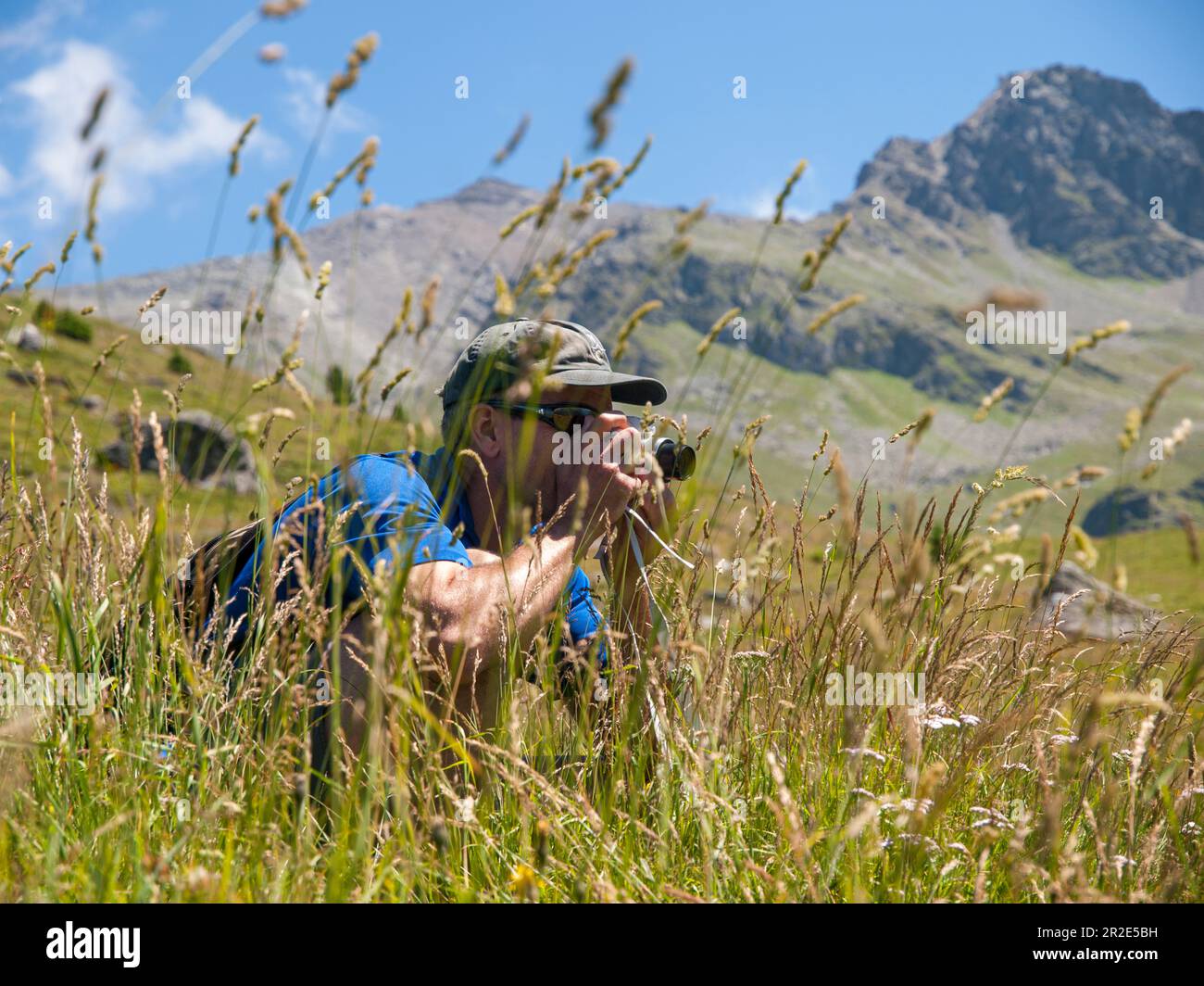 Ein Mann versteckt sich im langen Gras einer Bergwiese mit einer Kamera und fotografiert Flora und Fauna Stockfoto