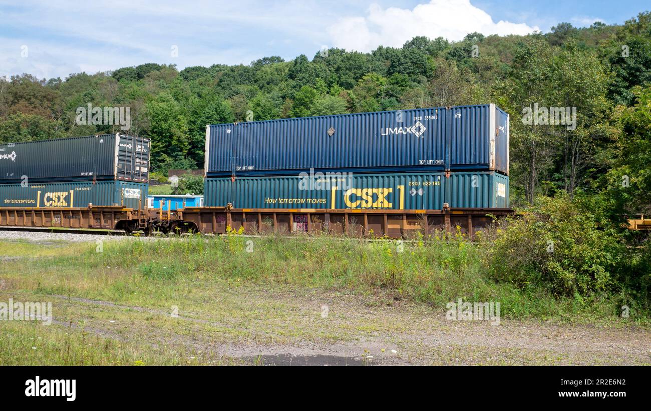 Mit CSX Railroad gekennzeichnete intermodale Güterwagen Stockfoto