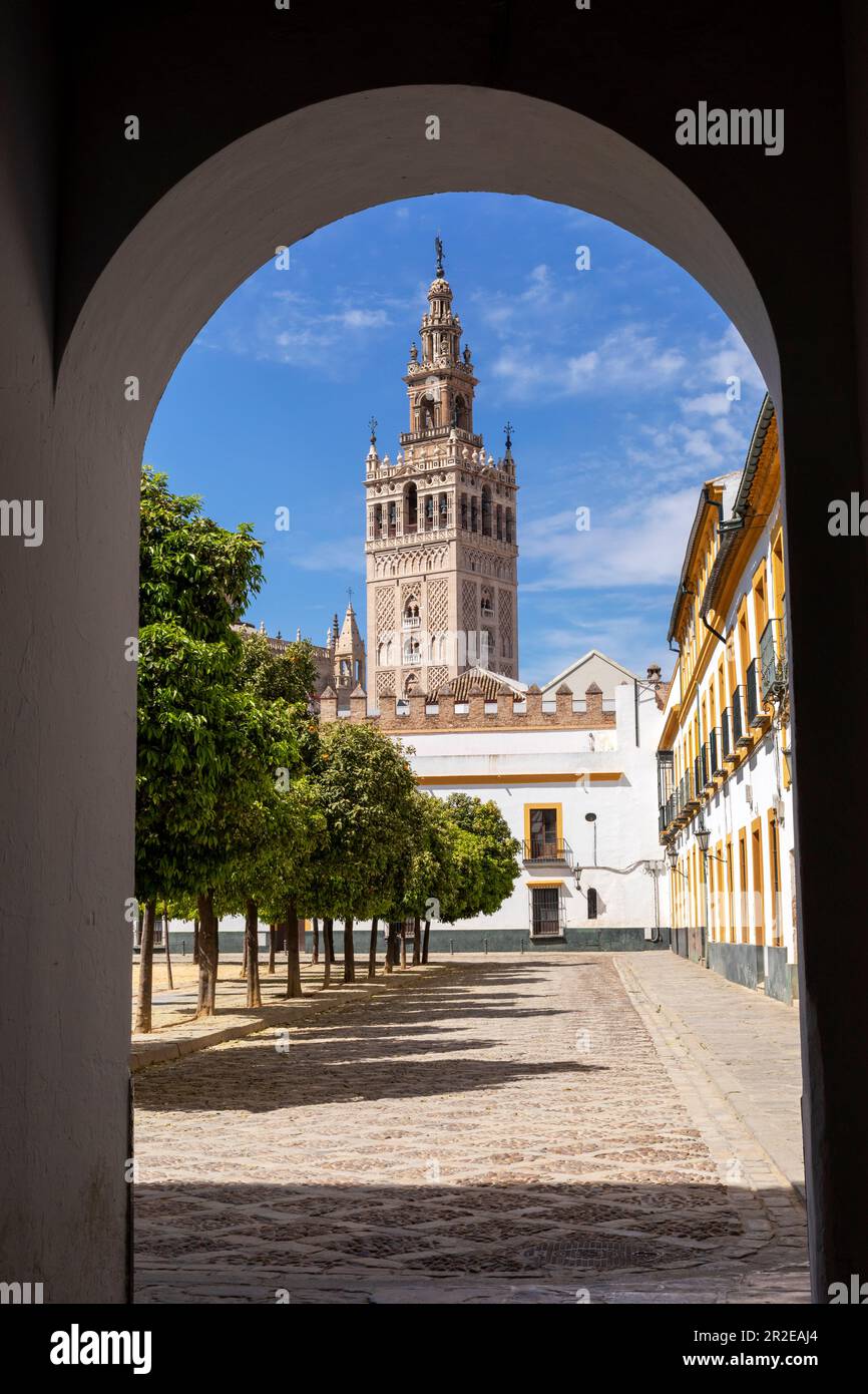 Spanien, Sevilla, die Kathedrale von Sevilla, die Kathedrale der Heiligen Maria des Meeres, die im 16. Jahrhundert fertiggestellt wurde und eine der größten Kirchen der Welt ist. Anzeigen Stockfoto