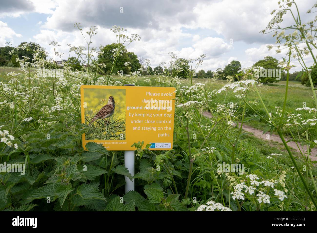 Schild in öffentlichem Grünland - Bitte vermeiden Sie es, Vögel zu stören, indem Sie Hunde unter Kontrolle halten und auf Wegen bleiben, England, Großbritannien Stockfoto