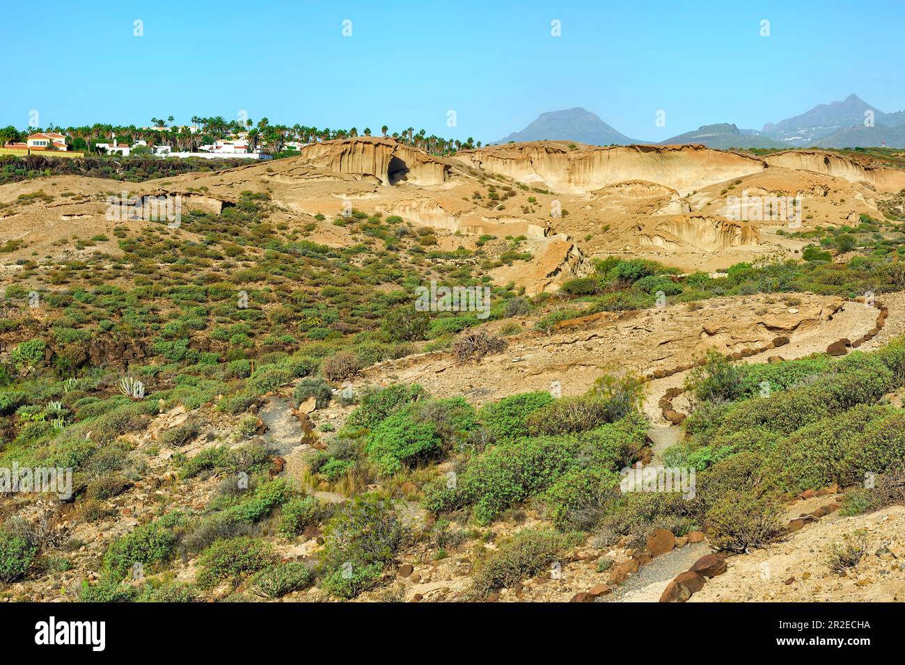 Umweltreserve San Blas, San Miguel de Abona, Tenera, Kanarische Inseln, Spanien Stockfoto