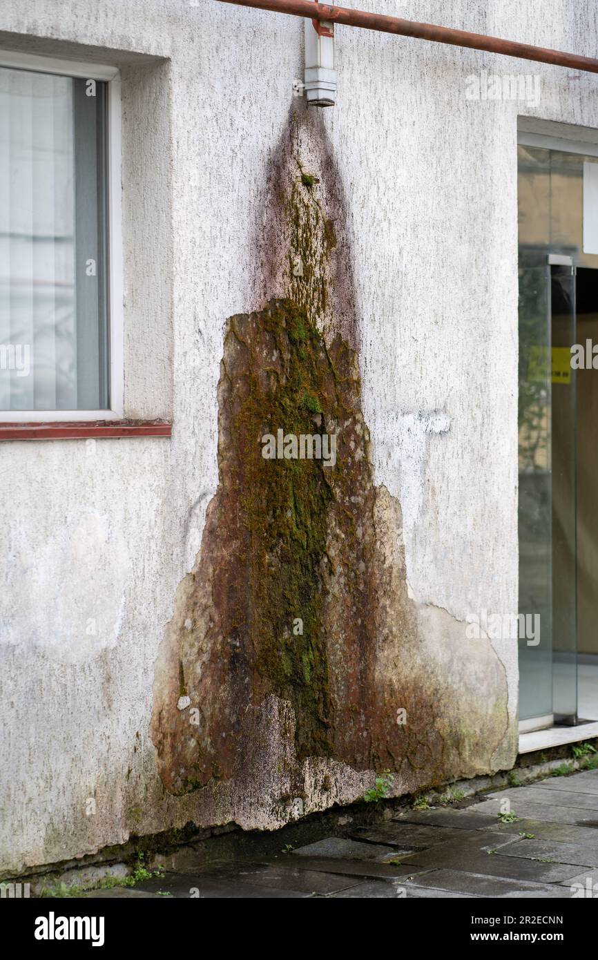 Schimmel an den Außenwänden des Gebäudes, feuchtes tropisches Klima, schadhafte Wand durch Pilze. Stockfoto