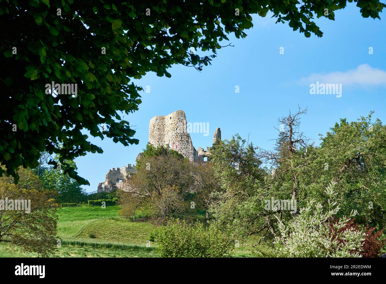 Die Burgruinen von Pfeffingen befinden sich hoch über dem gleichnamigen Dorf und dem Birseck-Tal Stockfoto