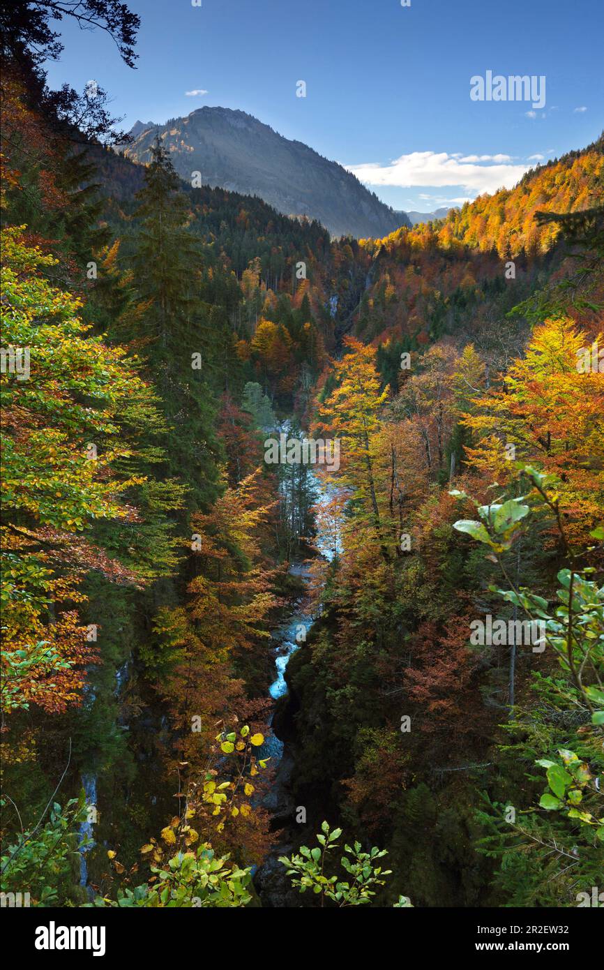 Bergbach Ostrach im Hintersteintal bei Bad Hindelang, Allgäu, Bayern, Deutschland Stockfoto