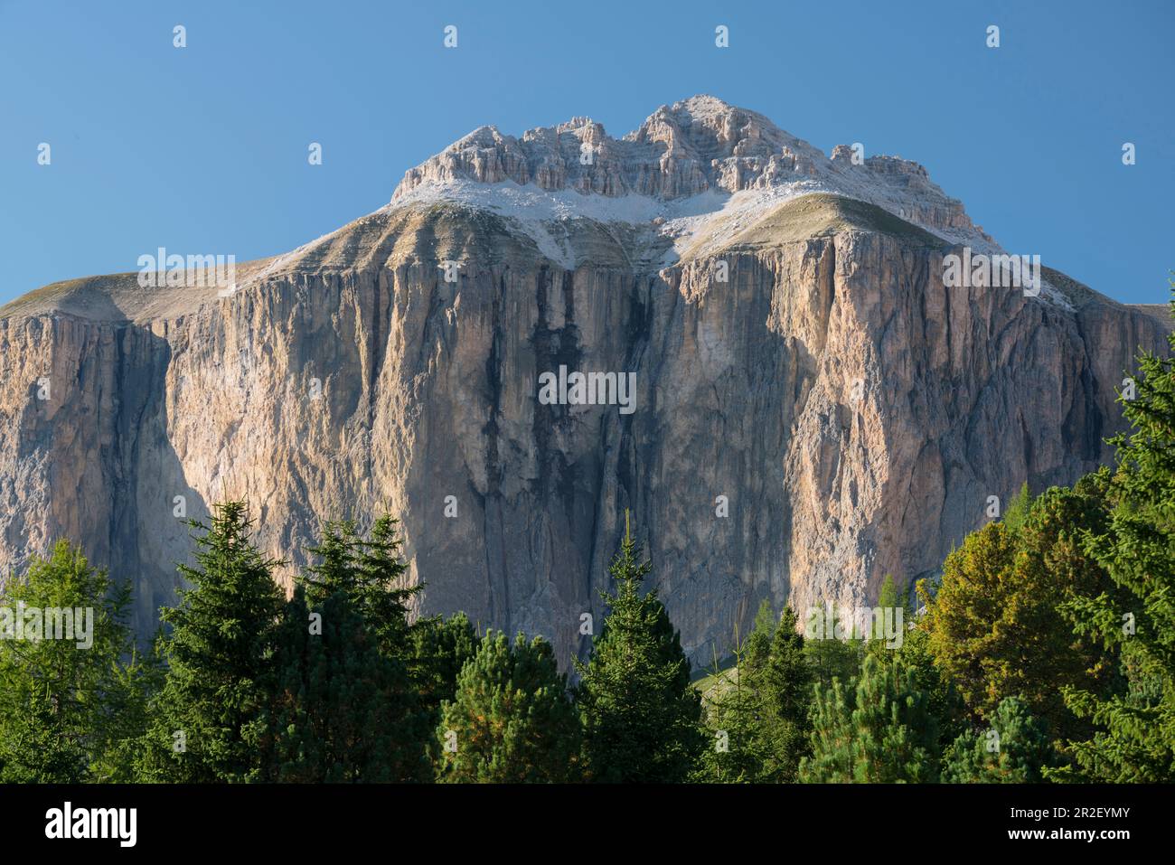 Sella Stock, Südtirol, Italien Stockfoto