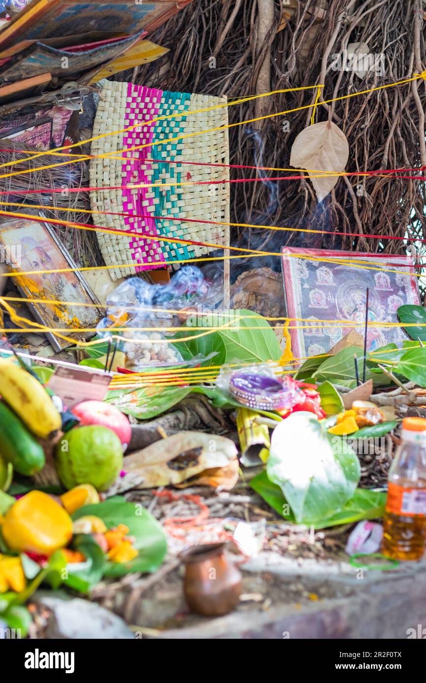 heilige Gegenstände, die für die hinduistische religiöse Verehrung des banyan-Baumes am Tag auf dem Fass savitri aufbewahrt wurden Stockfoto