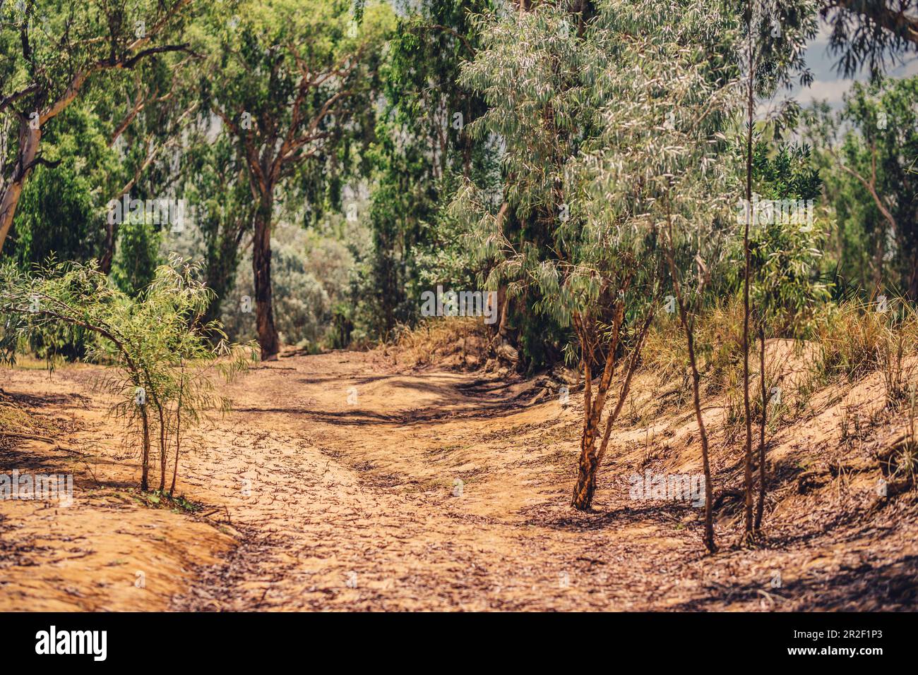 Natur in der Kimberley-Region in Westaustralien, Australien, Ozeanien; Stockfoto