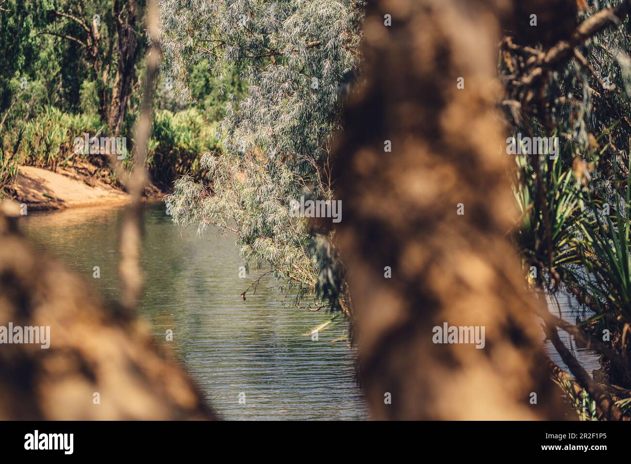 Fluss in der Kimberley-Region in Westaustralien, Australien, Ozeanien; Stockfoto