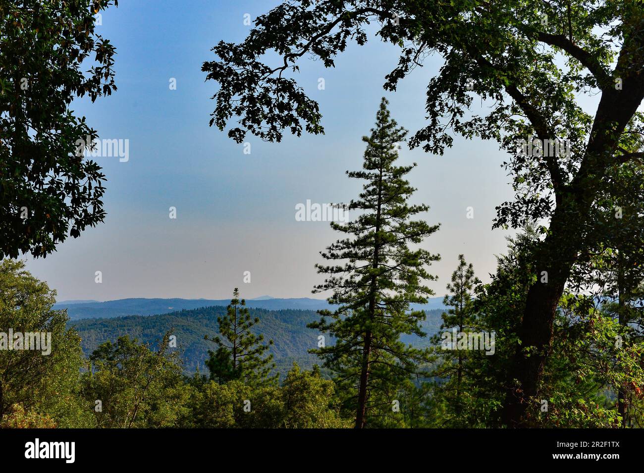 Im Wald der Sierra Nevada mit Blick auf die weitläufige Landschaft von Nevada City, Kalifornien, USA Stockfoto