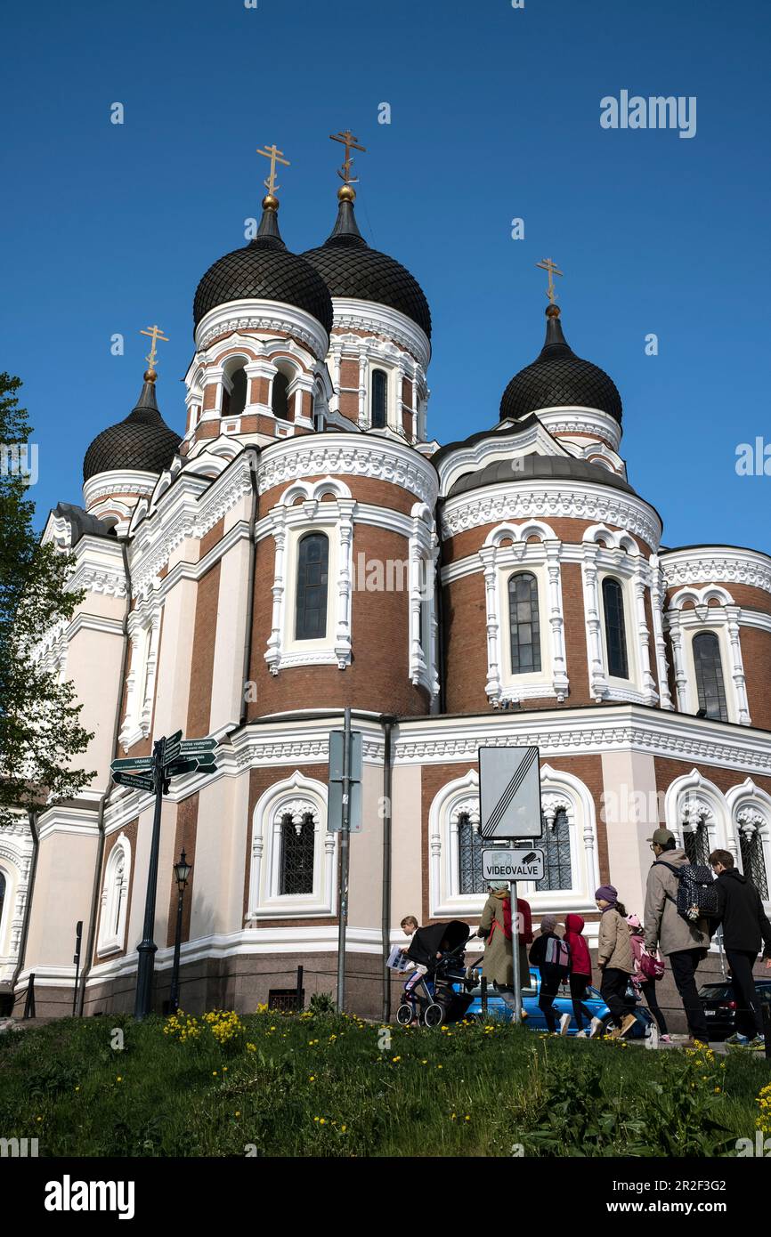 Alexander-Nevsky-Kathedrale, Toompea-Hügel im Zentrum von Tallinn, Estland Stockfoto