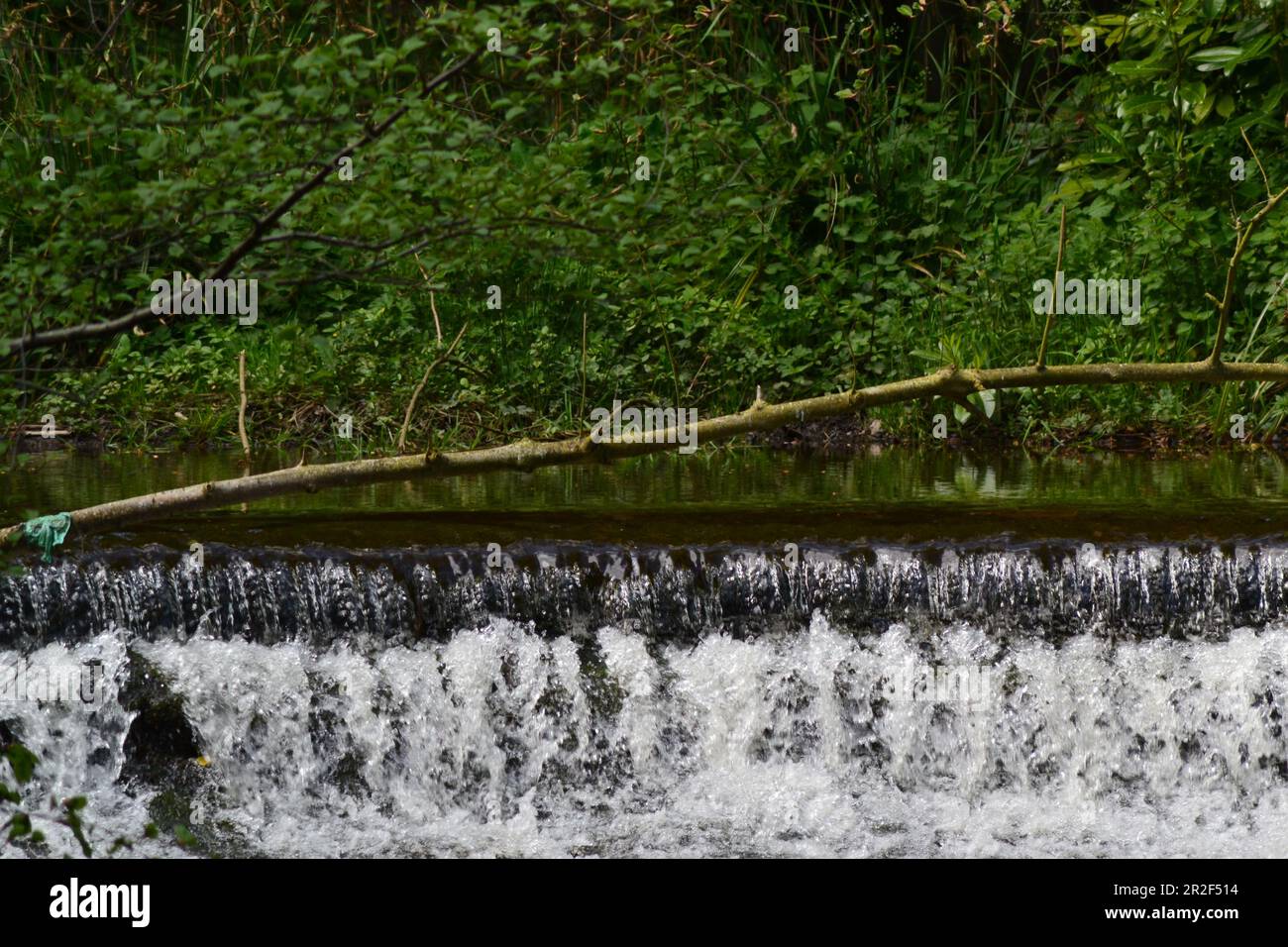 Landschaften auf landwirtschaftlichen Feldern. Stockfoto