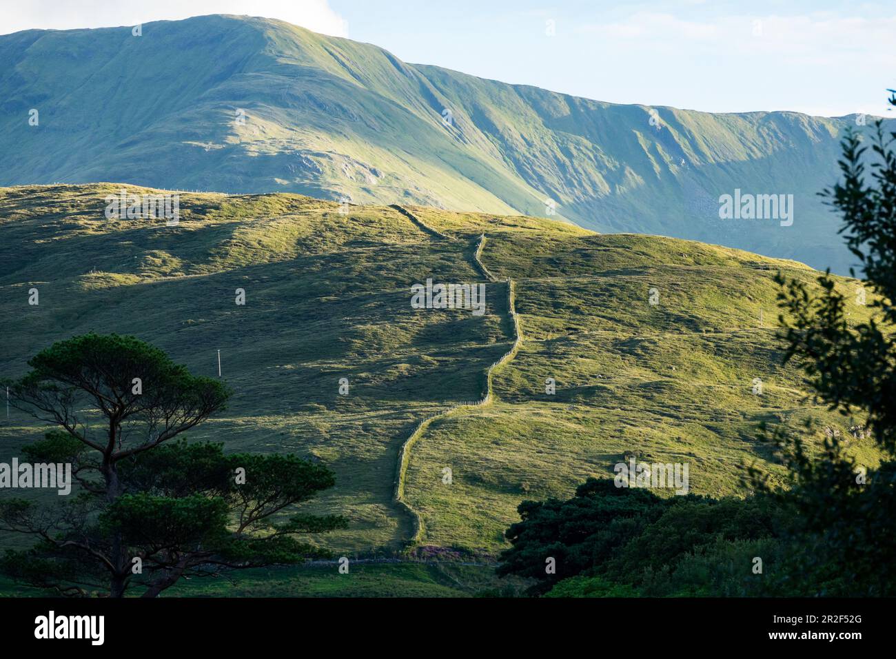 Irische Berglandschaft mit Steinmauer, County Galway, Irland Stockfoto