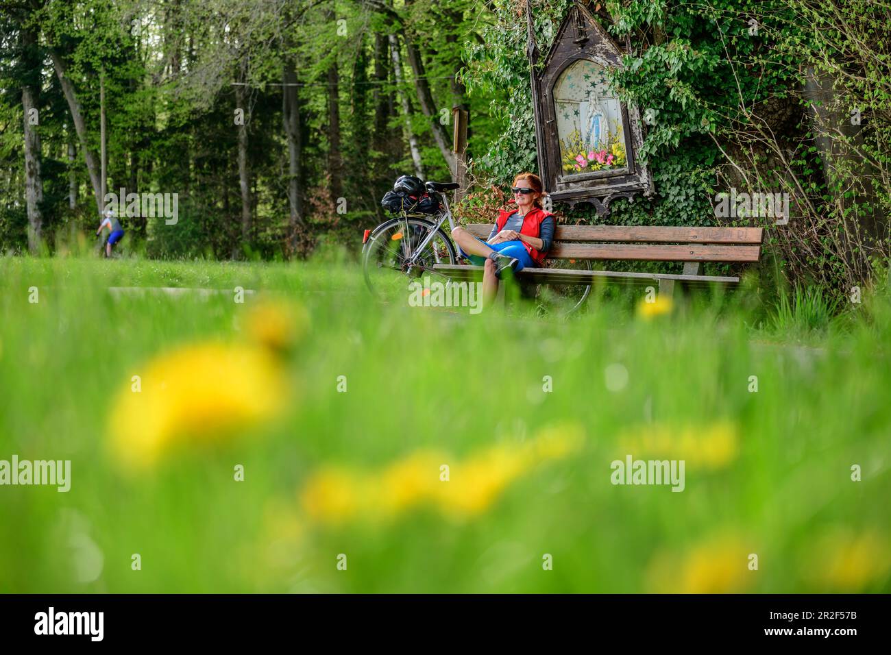 Radfahrerin sitzt auf der Bank und macht Pause unter dem Stock, von Baum zu Baum Radweg, Irschenberg, Oberbayern, Bayern, Deutschland Stockfoto